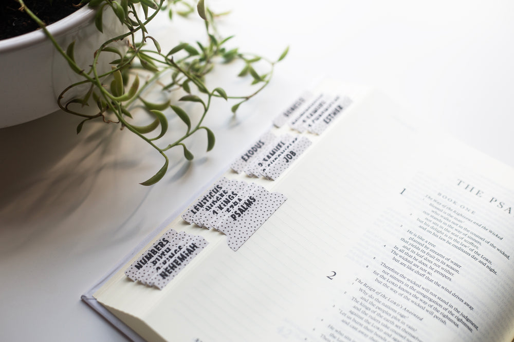 Classic Dot Bible Tabs - Kingfolk Co
