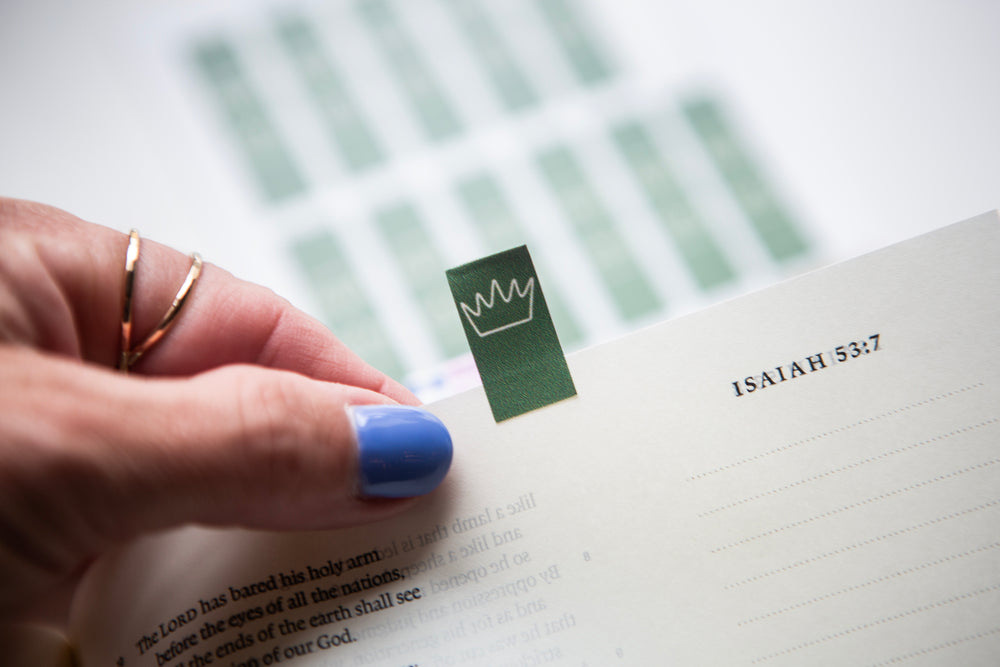 Crown Bible Flaggers - Kingfolk Co