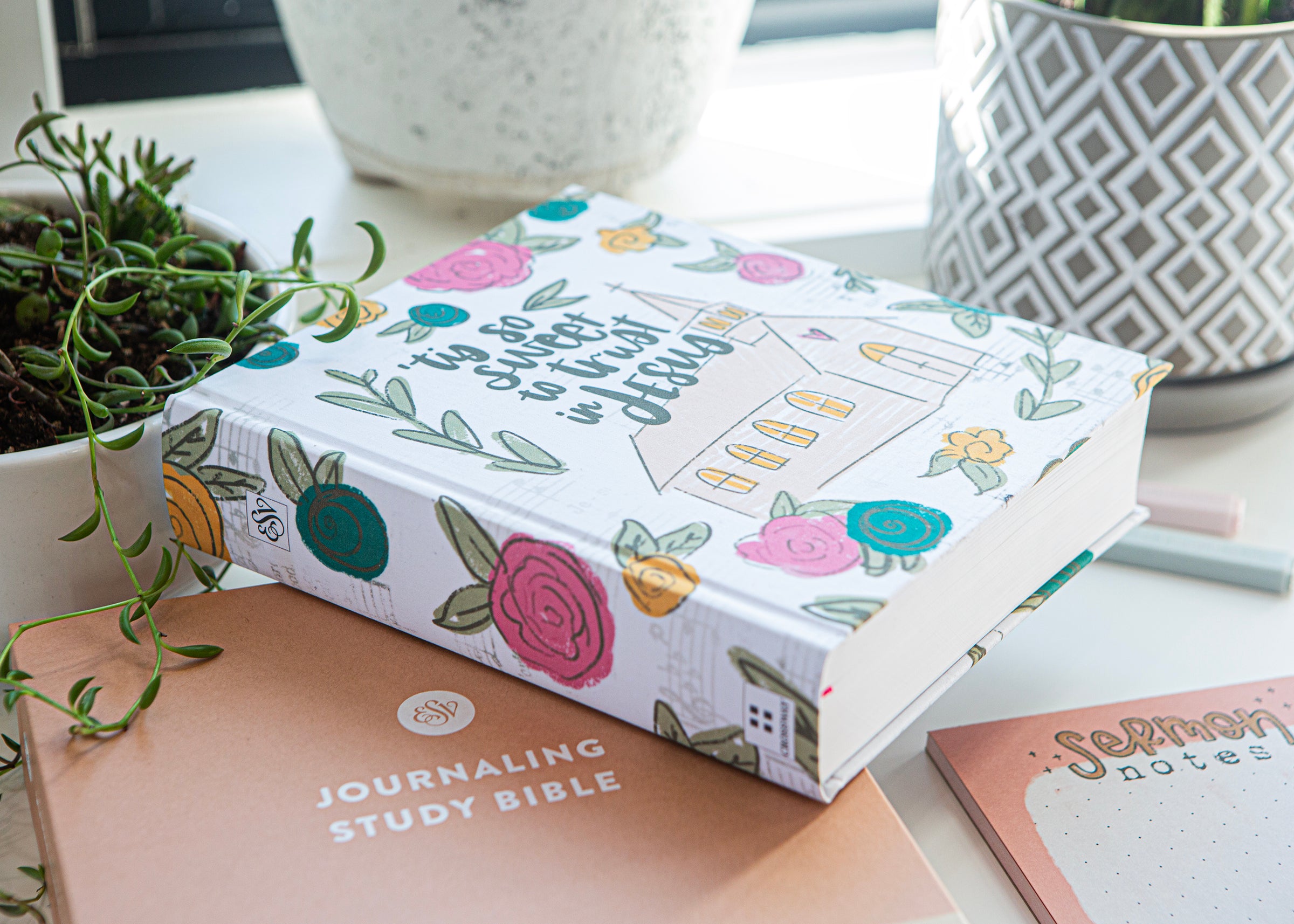 esv-1.jpg__PID:b025d00f-f4ae-4518-b592-6c6baa799806