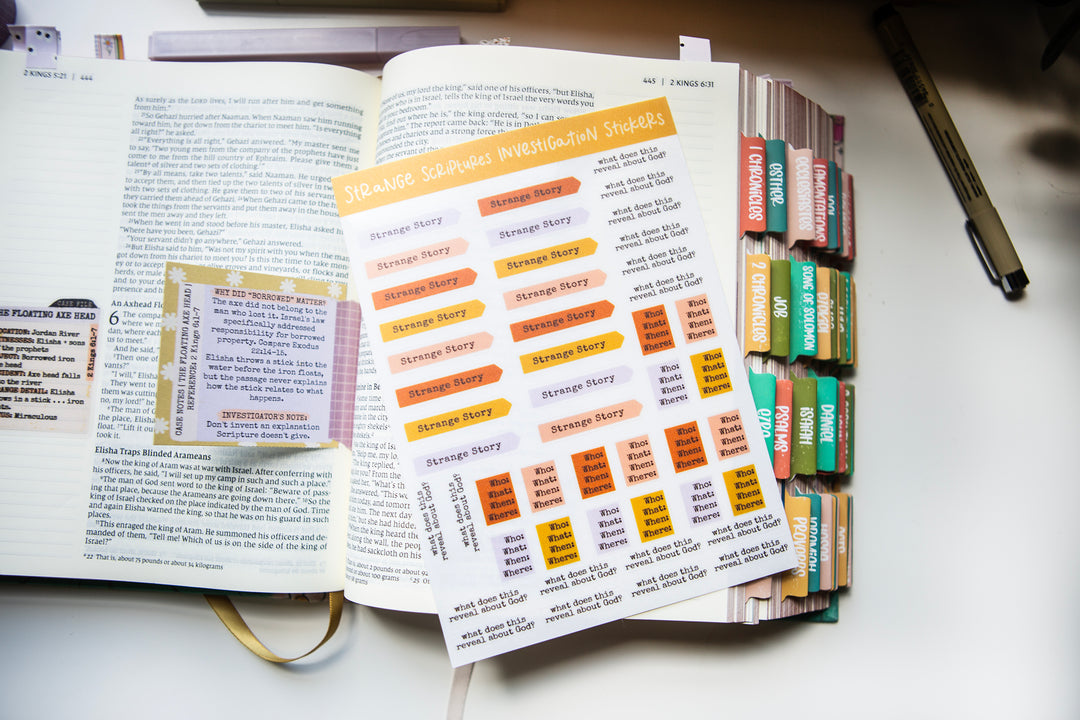 Stranger Scriptures Investigation Stickers ADD-ON STICKER Sheet - Kingfolk Co