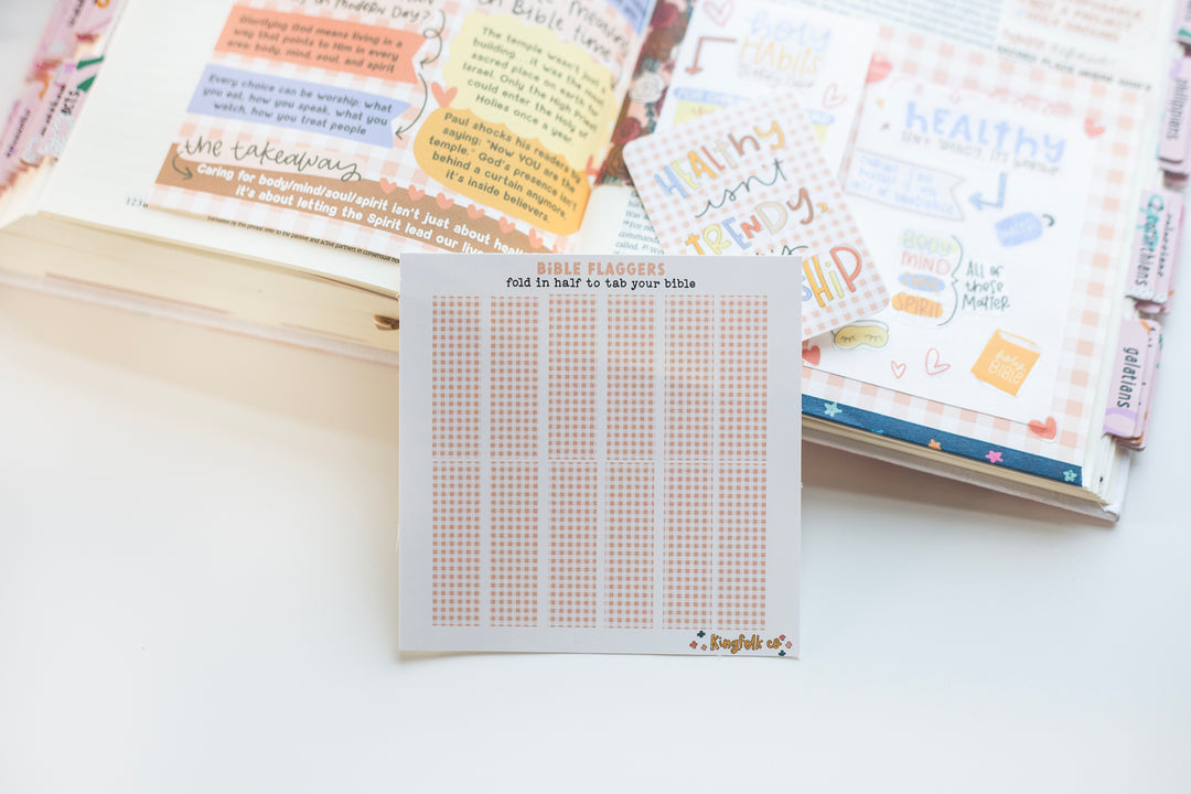 Temple Care (Peach Gingham) Bible Flaggers - Kingfolk Co