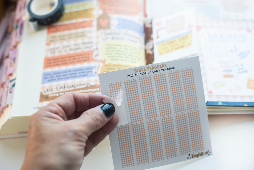 Temple Care (Peach Gingham) Bible Flaggers - Kingfolk Co