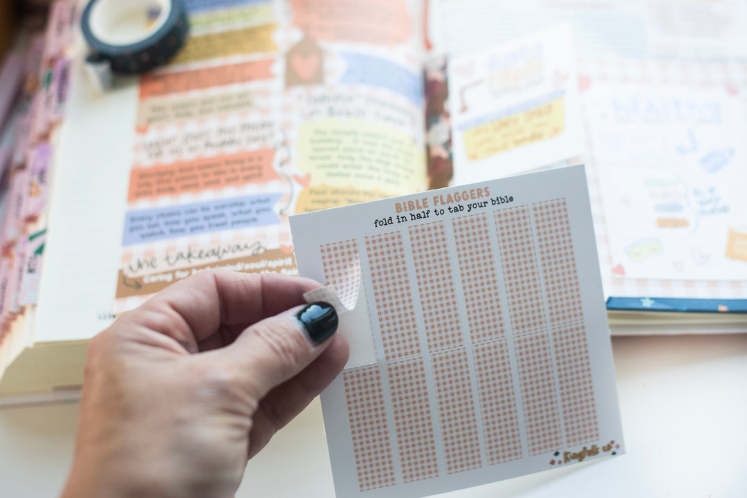 Temple Care (Peach Gingham) Bible Flaggers - Kingfolk Co