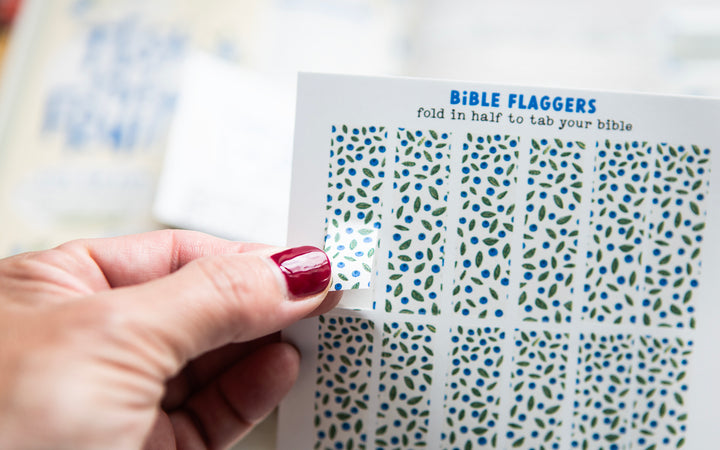 By Their Fruit Blueberry Bible Flaggers - Kingfolk Co
