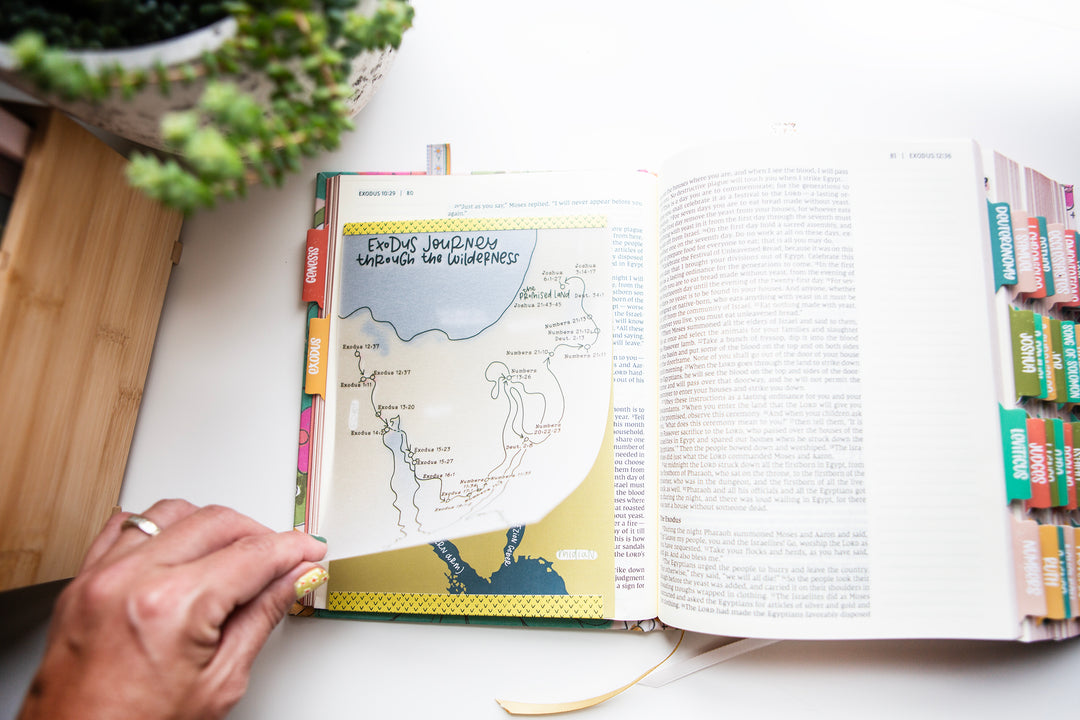 Map of the Exodus Journey Through the Wilderness with Velum Overlay TIP-IN Sheet Set - Kingfolk Co